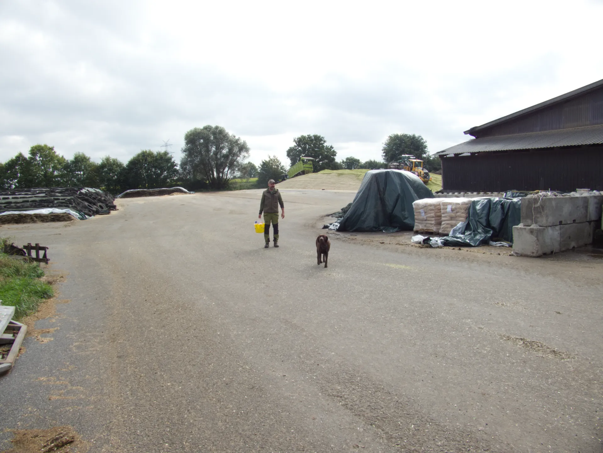 Her Holling mit Hund